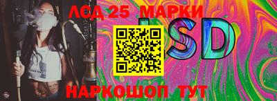 МДПВ Гусев