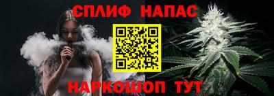 МДПВ Гусев
