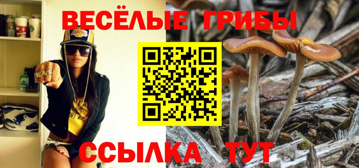 Галлюциногенные грибы мицелий  Галлюциногенные грибы MAGIC MUSHROOMS  Нижневартовск  Вход с VPN 